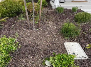 Landscaping by Manuel Rodriguez for Vernette B. in Roseville, CA