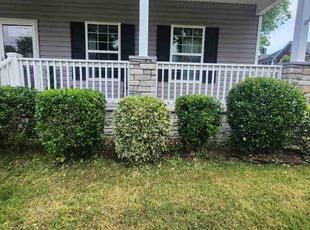 Bush Trimming by Jay M for Susan G. in Norfolk, VA