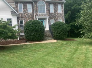 Bush Trimming by Kunique Billups for Kiersten C. in Midlothian, VA