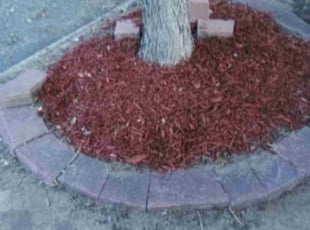 Mulching by Tom Davis for Ted H. in Denver, CO