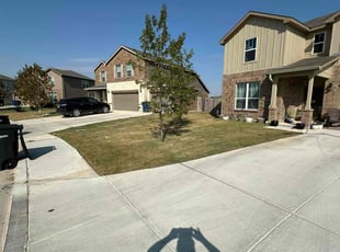 Sandra Z.'s Lawn Mowing service result