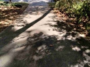 Cleanups by James Neely for Anita S. in Rock Hill, SC