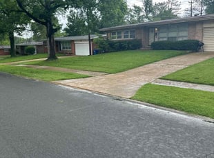 Jeanette F.'s Lawn Mowing service result
