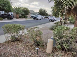 Bush Trimming by Darnell Box for Tyler M. in Tolleson, AZ