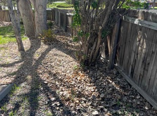 Cleanups by David Williams for George C. in Parker, CO
