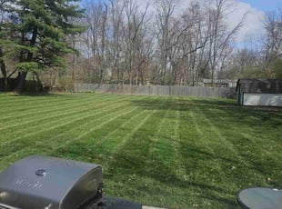 Sami C.'s Lawn Care service result