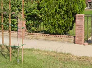Bush Trimming by Yolanda Alvarado for Micheal C. in Riverside, CA