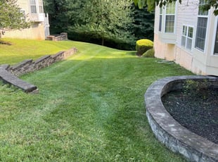 Shishir D.'s Lawn Service service result