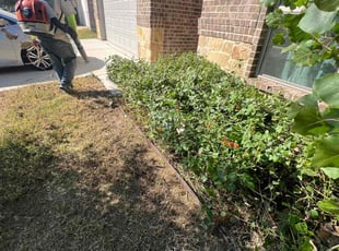 Bush Trimming by Manuel Gonzalez for Justin L. in Fort Worth, TX