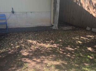 Cleanups by Noah Morrison for Colette T. in Austin, TX