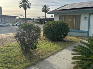 Bush Trimming by Christopher Covarrubias for Donovan y. in Bakersfield, CA