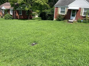 Tiffany J.'s Lawn Care service result