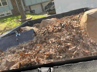 Leaf Removal by Jacob Russi for Nadia N. in Blue Springs, MO