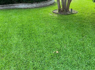 Beverly H.'s Lawn Maintenance service result