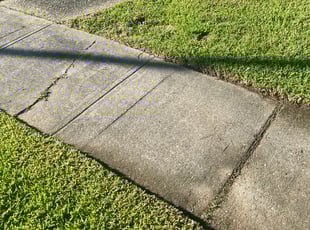 Weeding by Carl George for Wendy G. in Baton Rouge, LA