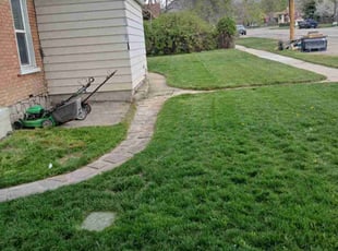 Bush Trimming by Everardo Esparza for Hannah P. in Lehi, UT