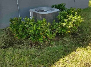 Bush Trimming by Kenneth Mitchell for Maria S. in Parrish, FL