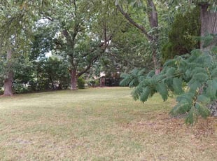 Mark M.'s Lawn Care service result