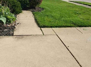 Donnell B.'s Lawn Mowing service result