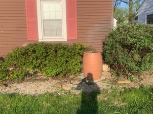 Bush Trimming by Jt Sallee for Debbie H. in Middletown, OH
