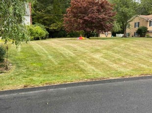 Sharoon I.'s Lawn Service service result