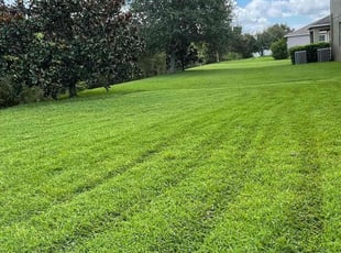 Peter A.'s Grass Cutting service result