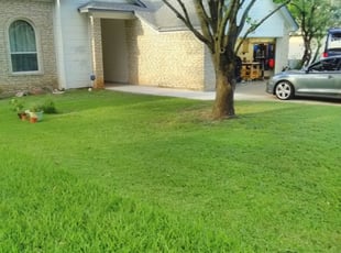Shaniah R.'s Yard Cutting service result
