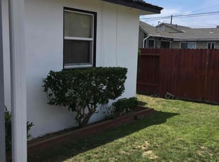 Bush Trimming by Mark Stephens for Joe G. in Torrance, CA