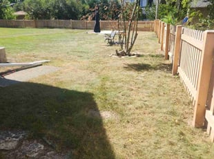 Leaf Removal by Ronnie Anderson for Mirabelle D. in Fox Point, WI