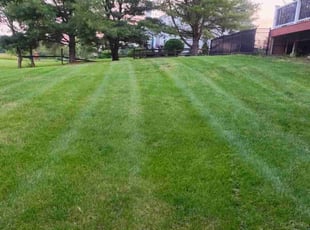 YOUN SUN J.'s Lawn Mowing Service service result
