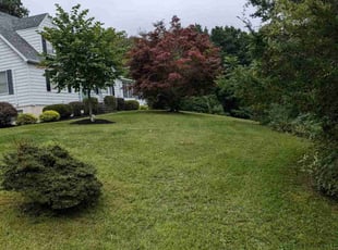 Michael S.'s Yard Cutting service result