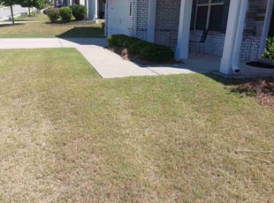 Bush Trimming by Garland Jairrels for Elizabeth H. in Buford, GA