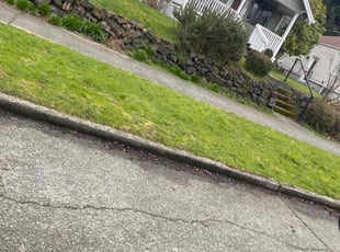 Bush Trimming by Richard Luiza Jr for Gaby P. in Seattle, WA