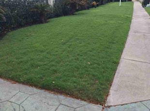 Dwayne A.'s Lawn Maintenance service result