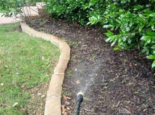 Weeding by Valente Alvarado for Lisa L. in The Colony, TX