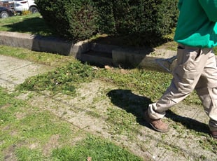 Bush Trimming by Rashaan Boyd for Ruquyiah R. in Cincinnati, OH