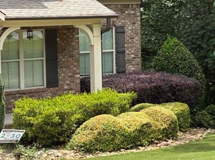 Erica J.'s Bush Trimming service result