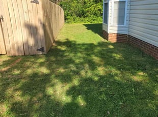 Michael B.'s Lawn Service service result
