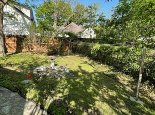 Leaf Removal by Erik de JesΓΊs Prado Sanchez for Mary D. in Georgetown, TX