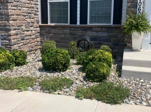 Bush Trimming by Olson Parker for Veronica K. in Clinton, MD