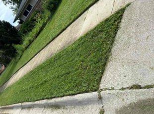 Kevin L.'s Lawn Mowing service result