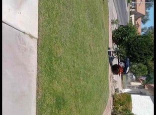 James C.'s Lawn Service service result