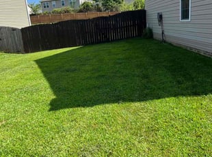 Chevon W.'s Lawn Mowing service result