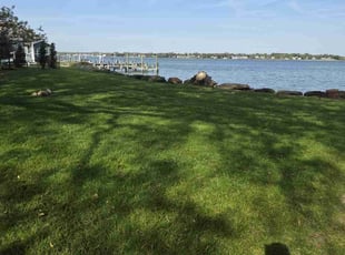 Ferrnando L.'s Lawn Service service result