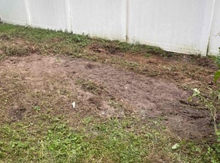 Cleanups by Hanif Ibn King for Kidanny V. in Bartow, FL