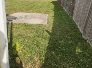 Mary S.'s Lawn Care service result