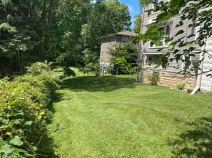 Leanna B.'s Lawn Service service result
