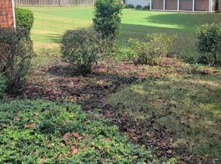 Bush Trimming by Jason Bullion for Jennifer H. in Greenville, SC