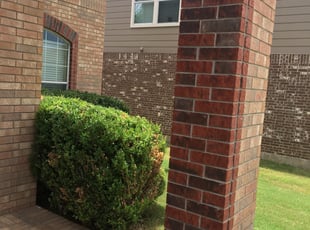 Bush Trimming by Carmen Sigmon for Kimberly H. in San Antonio, TX
