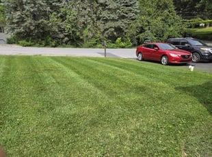 JAMES V.'s Lawn Service service result
